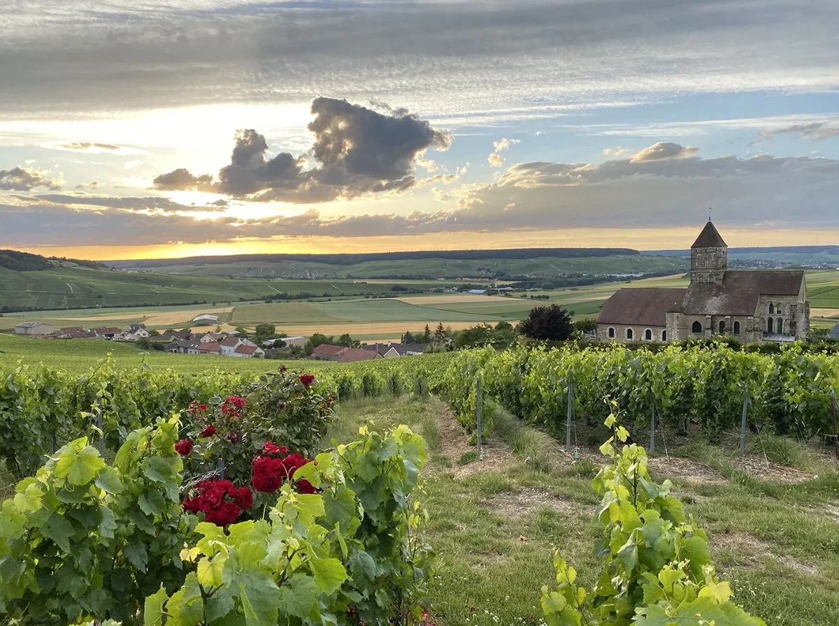 New York's Award-Winning Wine Destination